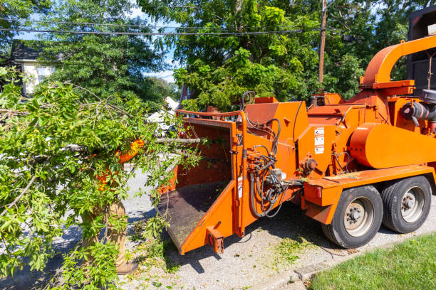 Best Residential Tree Removal  in Chisago City, MN